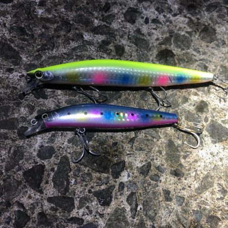 シーバス狙いでカマス