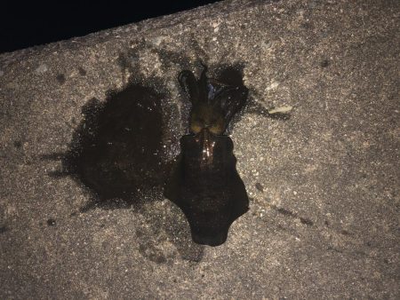 台風前に友達と行ってきました