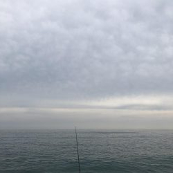 仁淀川河口サーフ