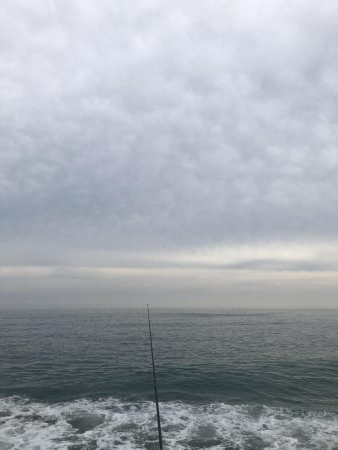 仁淀川河口サーフ