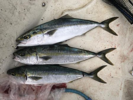 スローでジギング