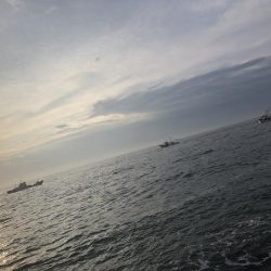 強風にも負けず