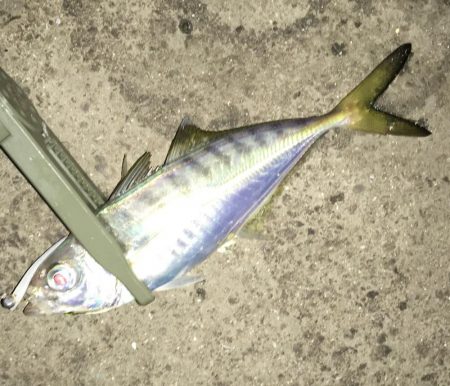 爆風に心折れました