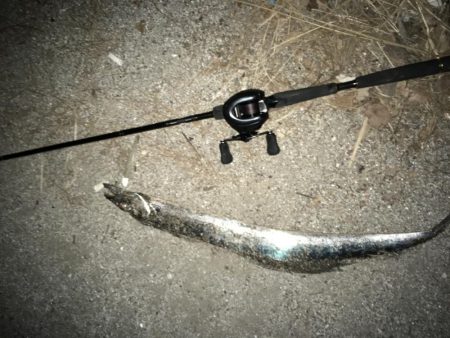 青物撃沈からの勝率100%の刀狩