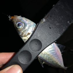 アーバンサイドアジング