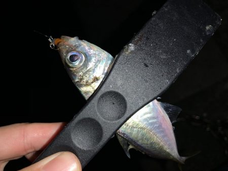 アーバンサイドアジング