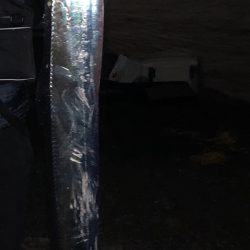 ドラゴンでました