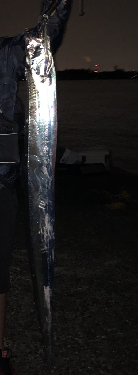 ドラゴンでました