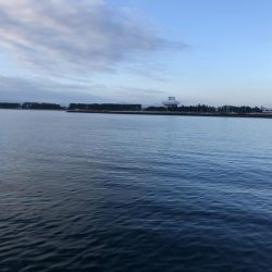 海の中からあの香りが！？！？