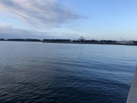 海の中からあの香りが！？！？