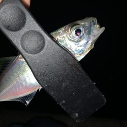 アーバンサイドアジング