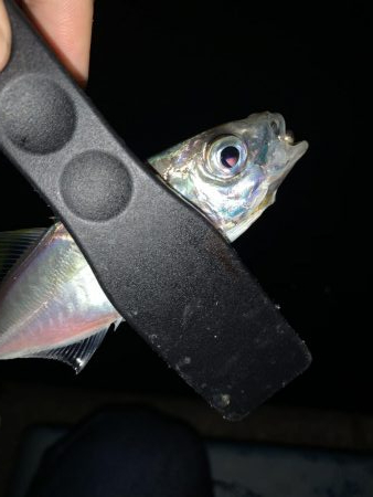 アーバンサイドアジング