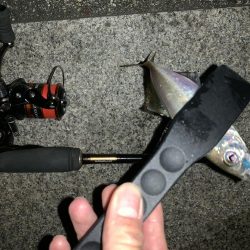 アーバンサイドアジング