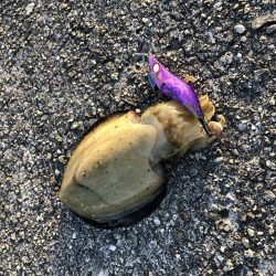 意表を突かれた！