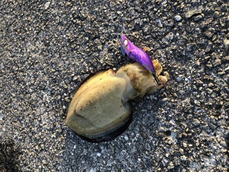 意表を突かれた！