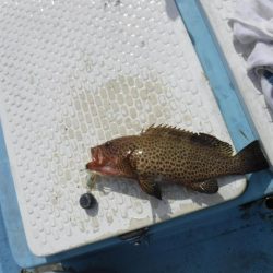 五目タイラバ その2