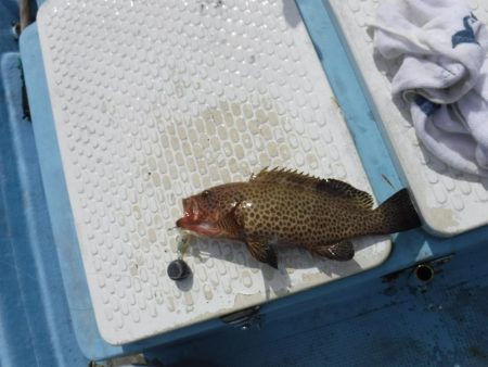 五目タイラバ その2