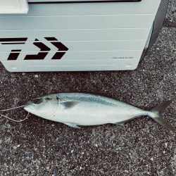 雨降らずガラガラ