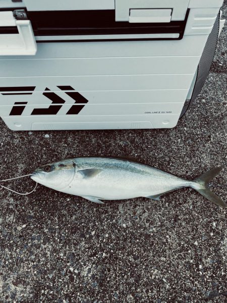 雨降らずガラガラ