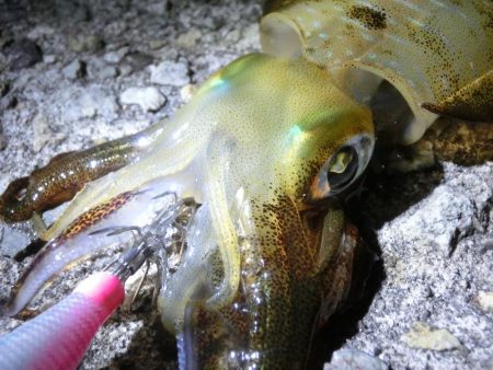 ポイント移動で何とか1杯