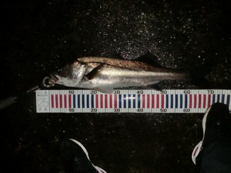 秋の深まりと共に