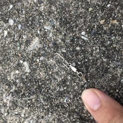 66センチのハマチ?ヒラマサ?