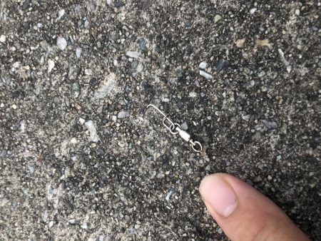 66センチのハマチ?ヒラマサ?