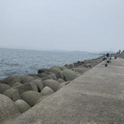 タチウオよ 何処へ?