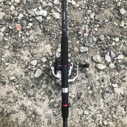 タチウオまだまだ渋い