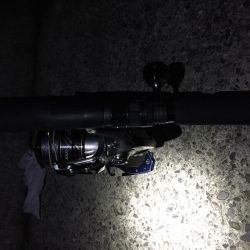 2日連続 息子と釣行