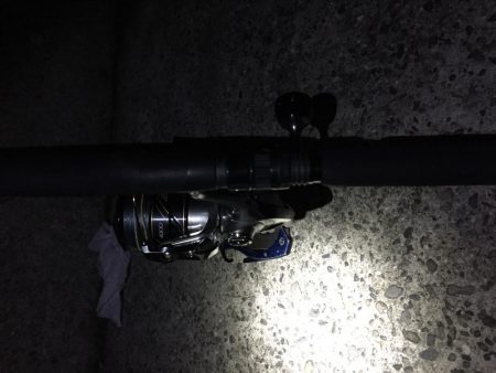 2日連続 息子と釣行