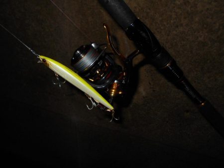 サヨリパターンでランカーヒット♪