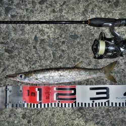 寒くなりました