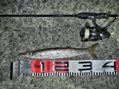 寒くなりました