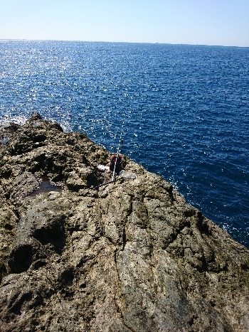 須江でグレ釣り