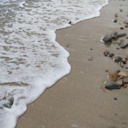 2日続けてスミ1でした