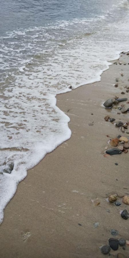 2日続けてスミ1でした