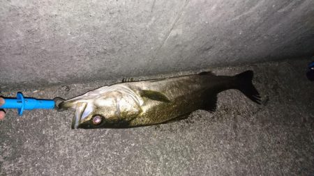 今日はいい日だ❗