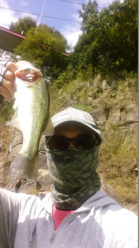 いまいちパッとせず…