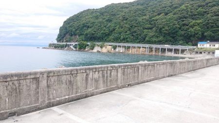 職場の仲間と旅行