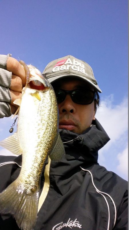 ルアーサイズが大事です