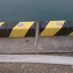 久しぶりに4Ｆ太刀魚ゲット