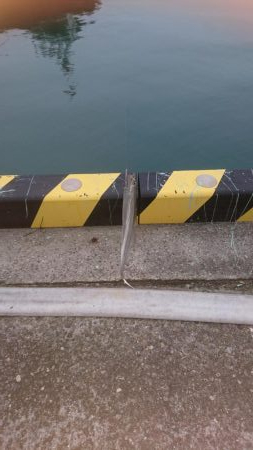 久しぶりに4Ｆ太刀魚ゲット