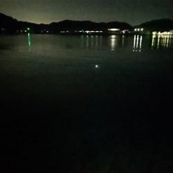 粘り勝ち‥アジ、タチウオ