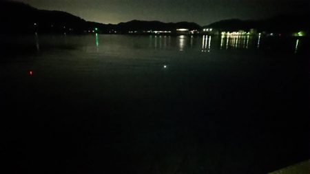 粘り勝ち‥アジ、タチウオ