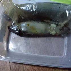 今週も頑張ってます。