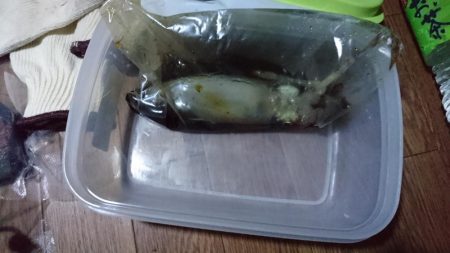 今週も頑張ってます。