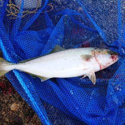 良い朝でした！