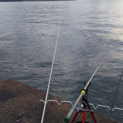 ヤエンとエギング