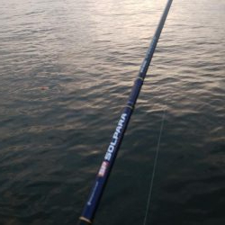 夕まずめタチウオ釣行